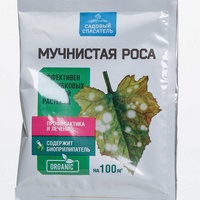 articul-A285677