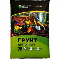 articul-A285886