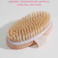 A286130 articul-A286130