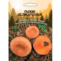 articul-A288930
