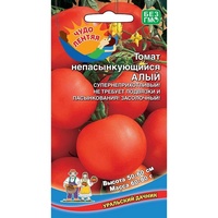 articul-A292898