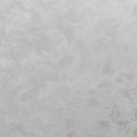 articul-A305022