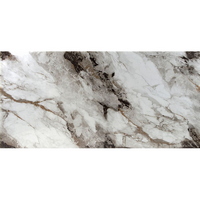 articul-A306919