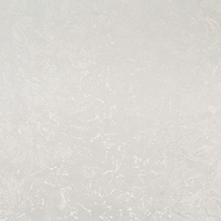 articul-A334569