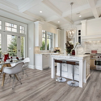 A334666-2 articul-A334666-2