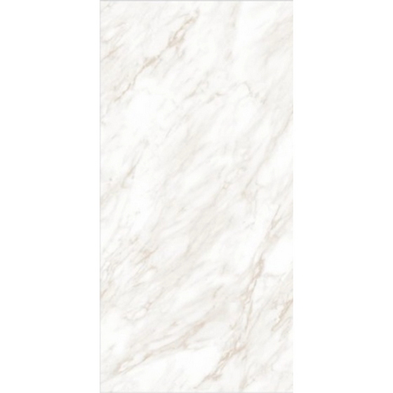 articul-A269494