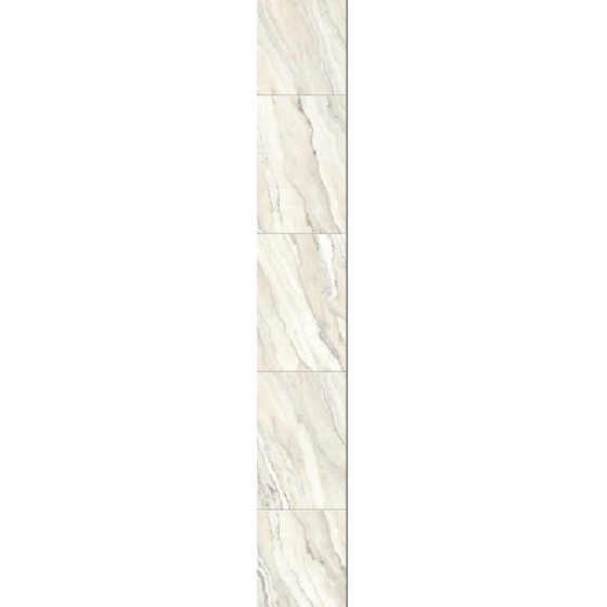 articul-A283484