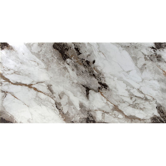 articul-A306919