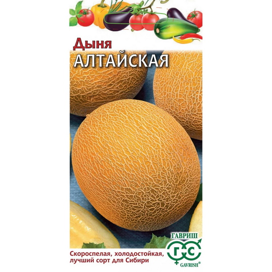 articul-A324658